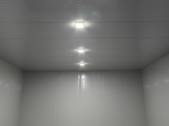 蔬菜冷庫(kù)最佳冷凍溫度怎么定？這些細(xì)節(jié)決定保鮮效果