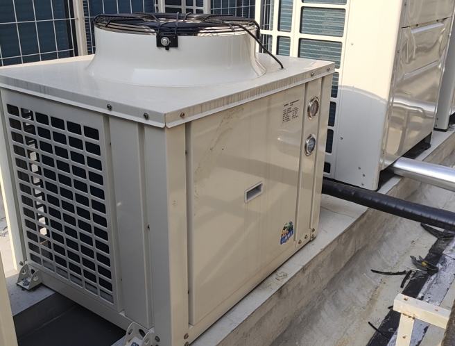 蒜苔冷庫怎么儲(chǔ)存時(shí)間長？掌握這些關(guān)鍵點(diǎn)讓新鮮度翻倍