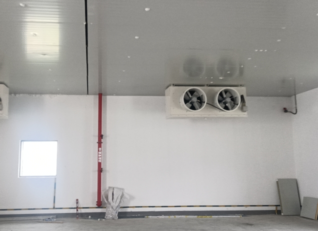 冷庫適合做什么項(xiàng)目？這些方向藏著真金白銀