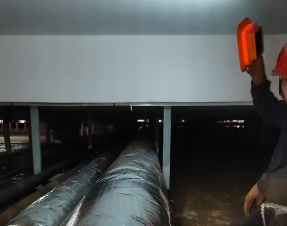 冷庫分為哪幾種？一份說人話的冷庫類型全解析??