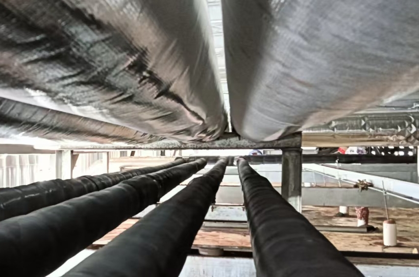 小型冷庫怎么加氟收氟？手把手教你搞定氟系統(tǒng)維護(hù)全流程