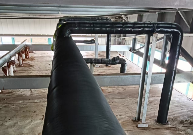 冷庫門屬于什么門？從分類到選型的全解析