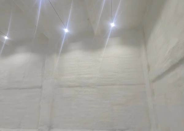 蒜苔放冷庫可以放多久？不同溫度下儲存時效全解析