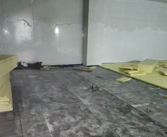 蒜苔冷庫怎么儲存不會壞？手把手教你延長保鮮期