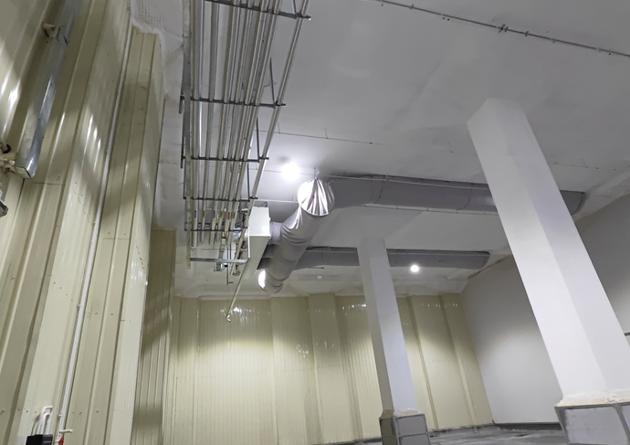 水果玉米冷庫儲藏方法：從采收處理到長期保鮮的全流程操作