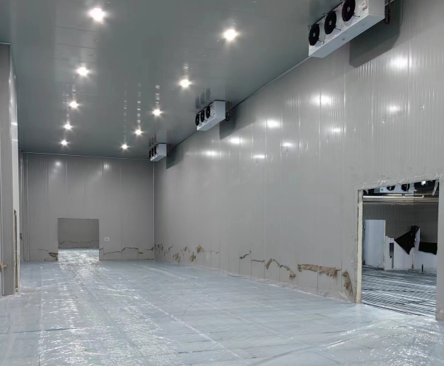 超市冷庫(kù)高度是多少？不同類型超市冷庫(kù)高度標(biāo)準(zhǔn)與實(shí)用建議