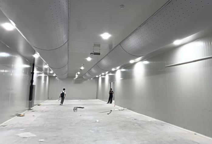 冷庫分揀員最建議去嗎？真實工作體驗+行業(yè)現(xiàn)狀全解析