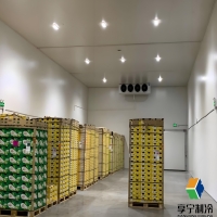 冷庫保溫材料哪種最好最安全？5大維度+真實數(shù)據(jù)幫你選對