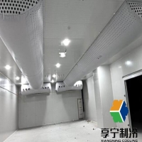 豬肉在冷庫可以存放多久？溫度控制、儲存技巧與保鮮期限全解析