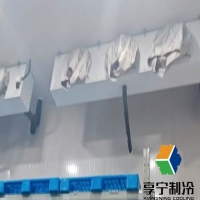 科學(xué)延鮮指南：揭秘冷庫如何鎖住果蔬的黃金賞味期