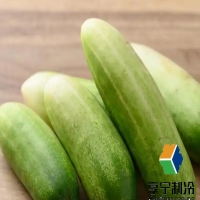 黃瓜冷庫儲存多長時間？看完這篇就懂了！