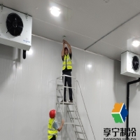 冷庫溫濕度管理：解碼水果保鮮的"環(huán)境密碼"與智能調(diào)控策略