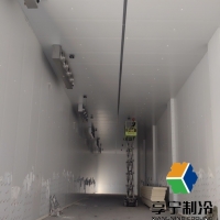 冷庫氣調(diào)庫廠家有哪些？行業(yè)口碑與服務(wù)特色綜合盤點