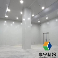 海鮮在冷庫里可以保存多久？看完這篇徹底搞懂保鮮秘訣