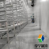 冷庫凍肉最多能存放多久？肉類保鮮全攻略看這里