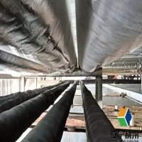 海鮮在冷庫可以存放多長時(shí)間？一篇講透保鮮邏輯與實(shí)操細(xì)節(jié)