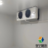 冷庫存什么賺錢最穩(wěn)定？5類硬通貨+3個避坑指南一次說清