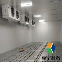 冷庫保鮮水果能保存多久？全面解析水果冷庫保鮮時(shí)長與實(shí)用技巧