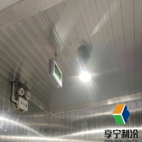 保鮮庫和冷庫哪個儲存水果更好？看完這篇不再糾結選擇！