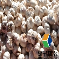 儲(chǔ)存大蒜的冷庫造價(jià)多少錢？看完這篇省下30%冤枉錢